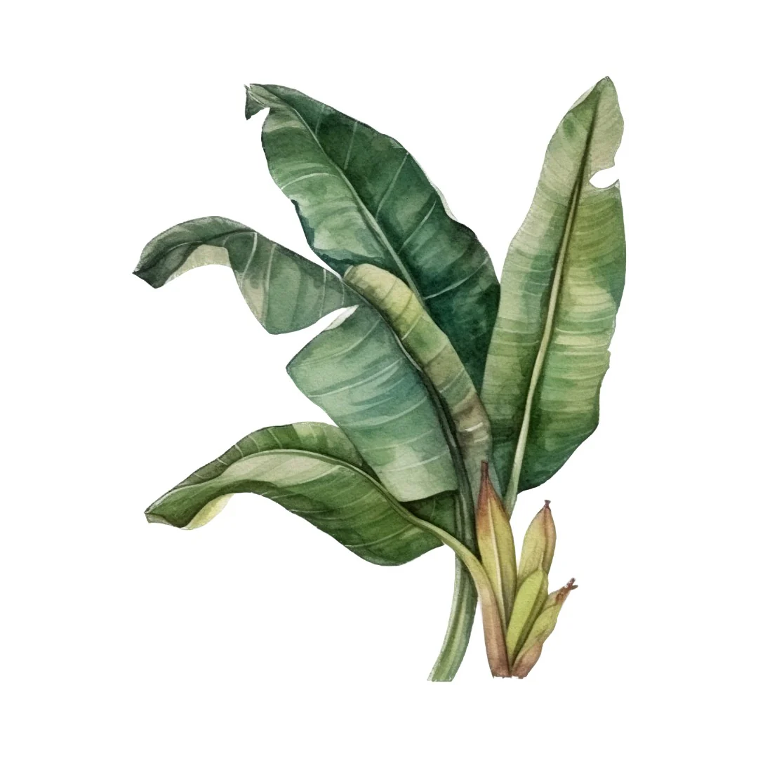 Banana Leaf Wall Sticker - Image 2