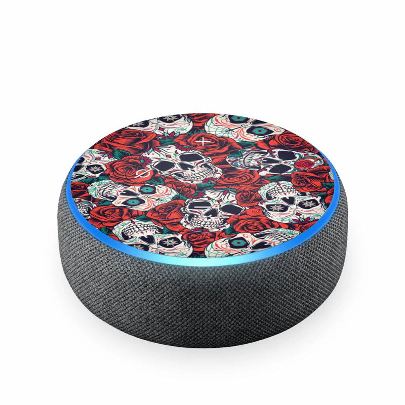 Skull 1 Skin For Amazon Echodot