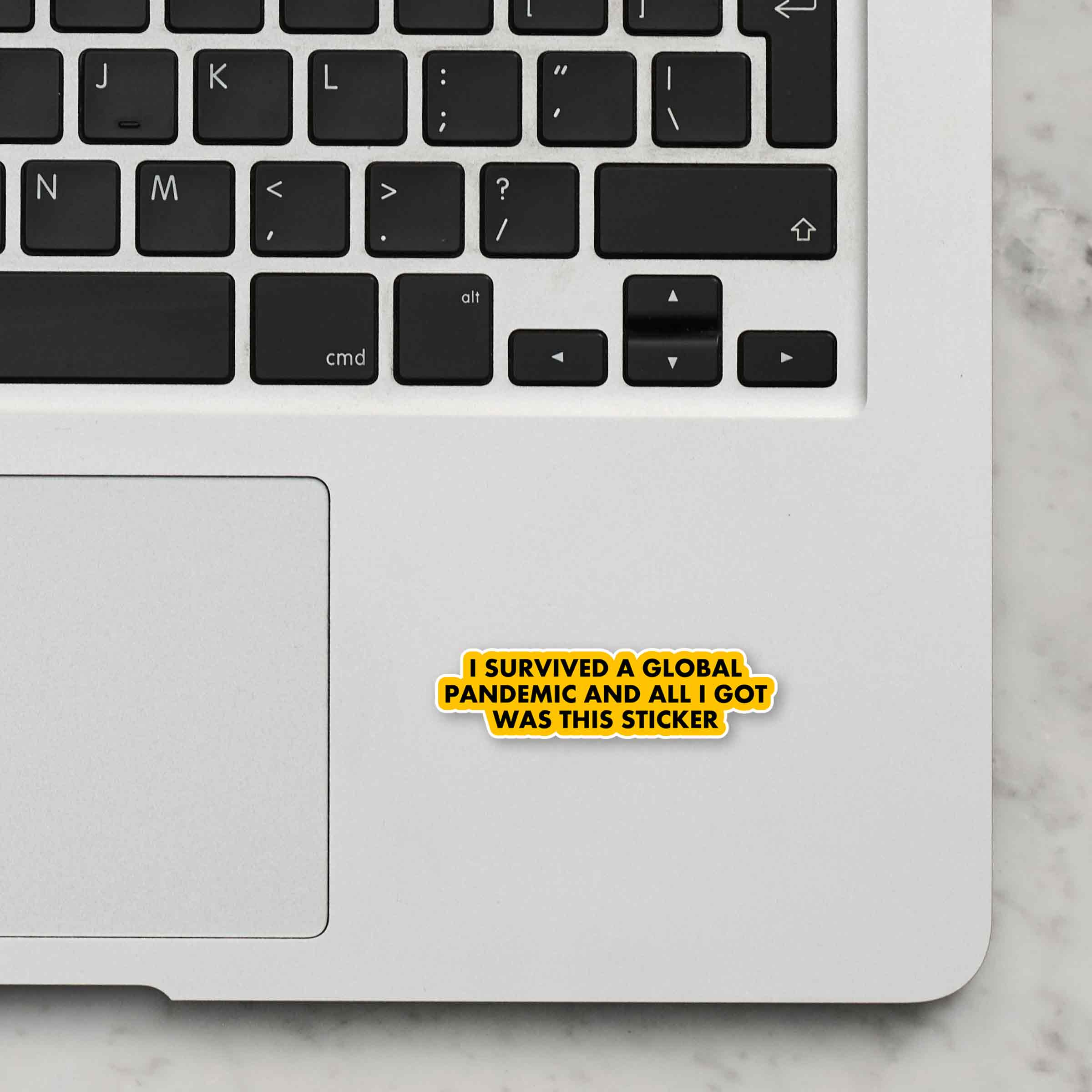 I Survived Pendemic Laptop Sticker - Image 2