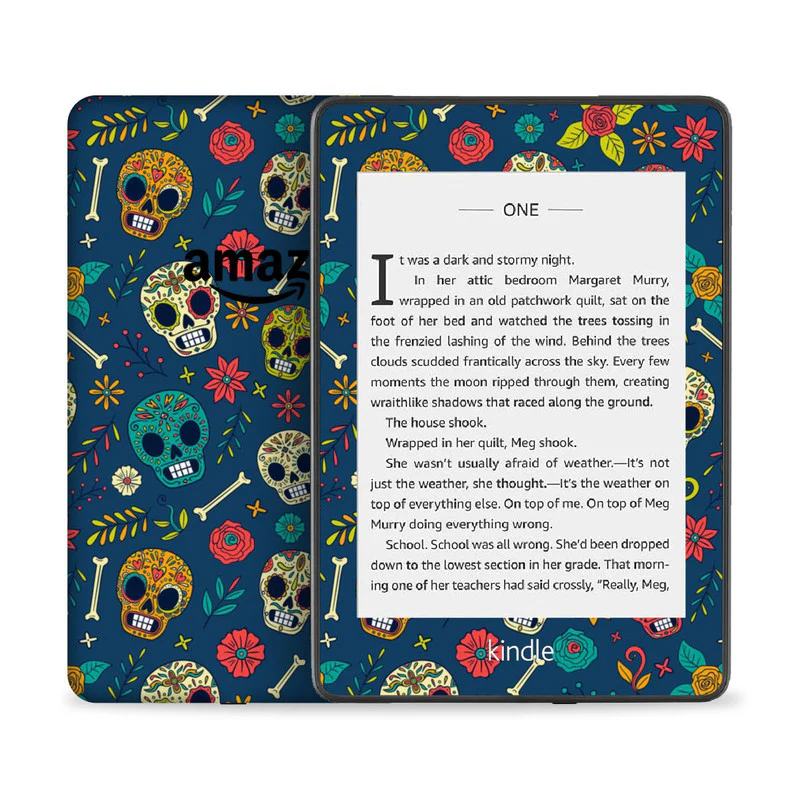 Skull 2 Skin For Kindle