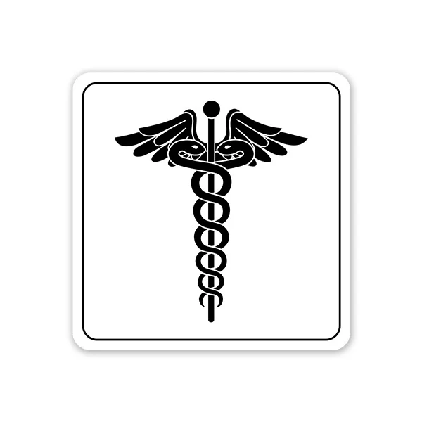 Magical Wing Stick Car Sticker