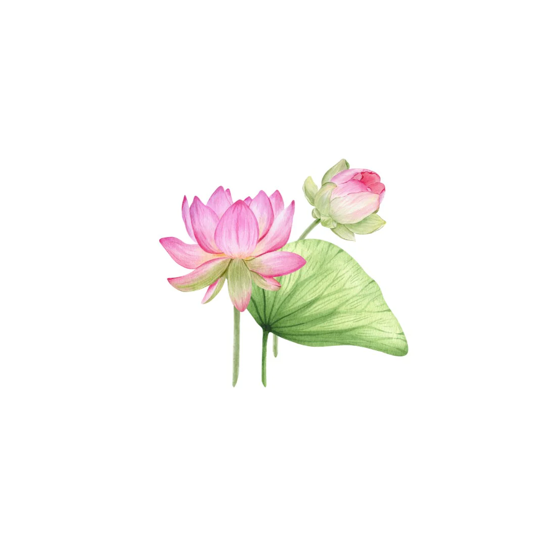 Pink Lotus #2 Wall Sticker - Image 2
