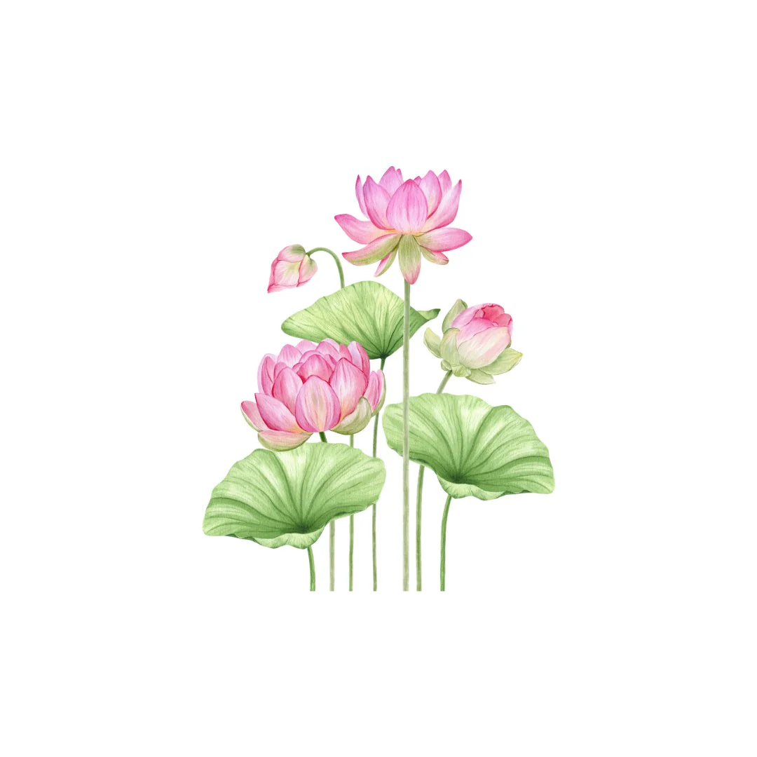 Pink Lotus #1 Wall Sticker - Image 2
